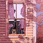 Windows Series, Dog   Oil on Canvas   12 x 16.jpg